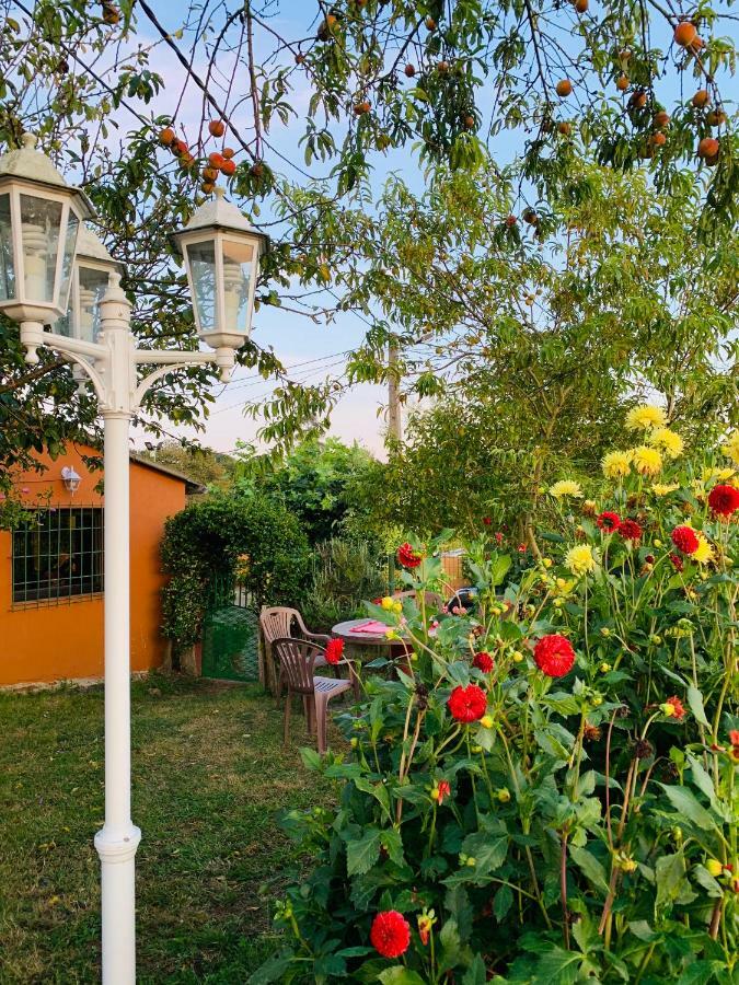 Vivienda Vacacional El Majo Siero Esterno foto